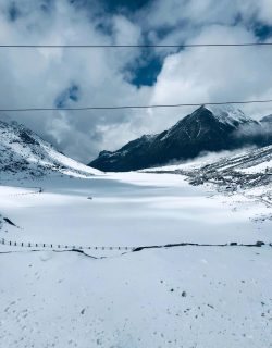 pexels-sonam-17574949